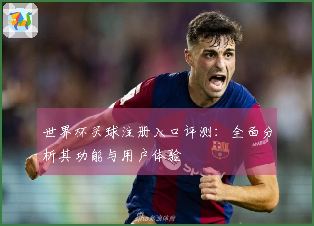 世界杯买球注册入口评测:全面分析其功能与用户体验