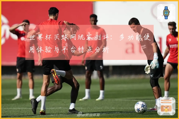 世界杯买球网玩家测评：多功能使用体验与平台特点分析