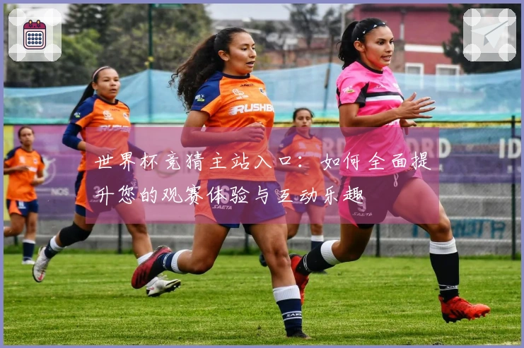 世界杯竞猜主站入口：如何全面提升您的观赛体验与互动乐趣