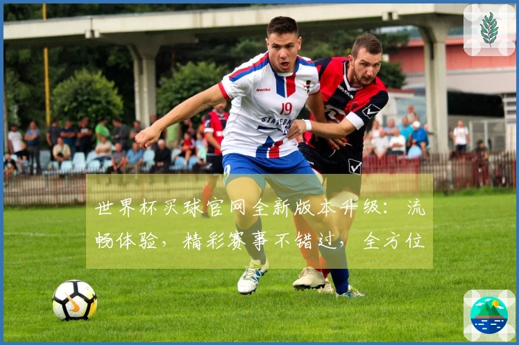世界杯买球官网全新版本升级:流畅体验,精彩赛事不错过,全方位功能指南尽在此。