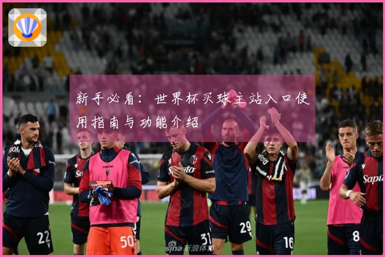 新手必看:世界杯买球主站入口使用指南与功能介绍