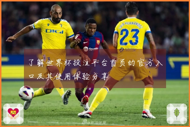 了解世界杯投注平台首页的官方入口及其使用体验分享