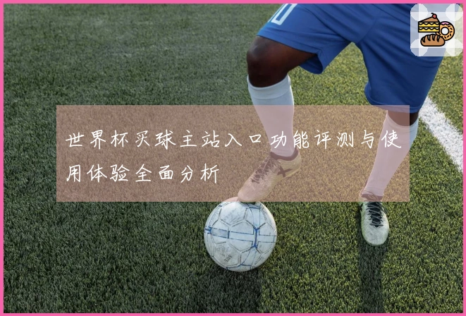 世界杯买球主站入口功能评测与使用体验全面分析