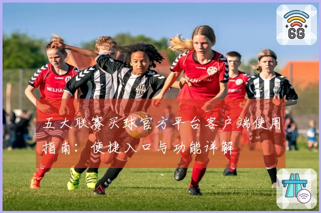 五大联赛买球官方平台客户端使用指南：便捷入口与功能详解