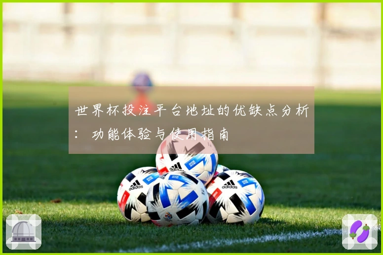 世界杯投注平台地址的优缺点分析：功能体验与使用指南