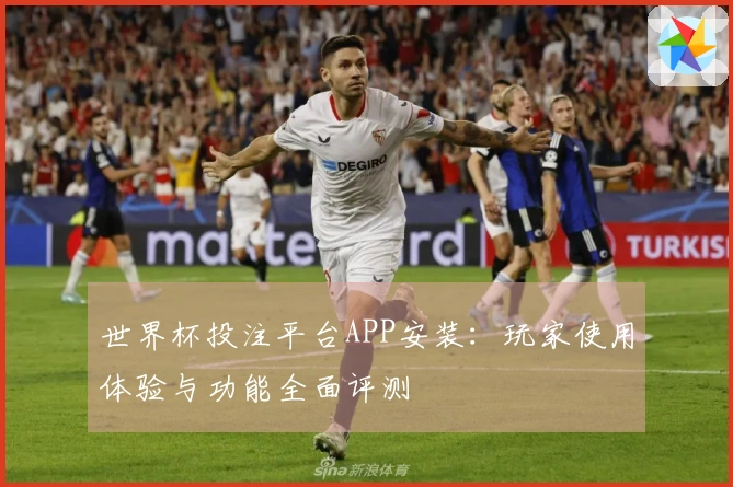 世界杯投注平台APP安装：玩家使用体验与功能全面评测