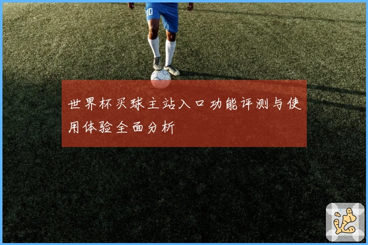 世界杯买球主站入口功能评测与使用体验全面分析