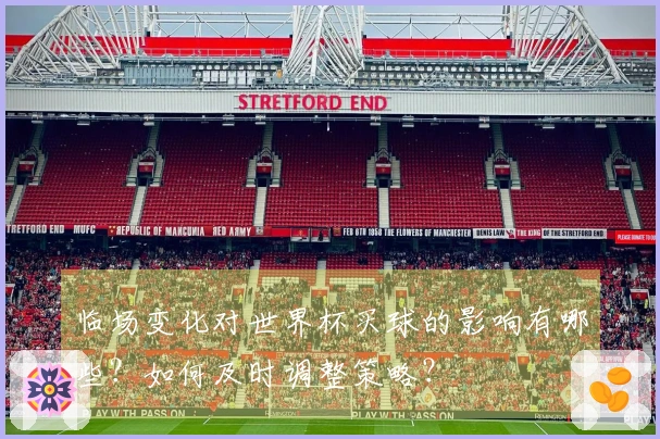 临场变化对世界杯买球的影响有哪些？如何及时调整策略？