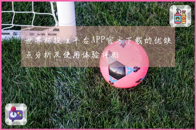 世界杯投注平台APP官方下载的优缺点分析及使用体验评测